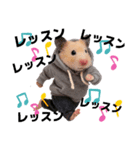 ハムさんダンス始めました（個別スタンプ：23）