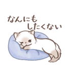 毎日使える♡大人可愛いガーリーキャット2（個別スタンプ：3）