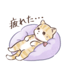 毎日使える♡大人可愛いガーリーキャット2（個別スタンプ：4）