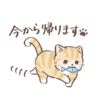 毎日使える♡大人可愛いガーリーキャット2（個別スタンプ：19）