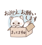 毎日使える♡大人可愛いガーリーキャット2（個別スタンプ：21）