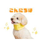 ミントちゃんの可愛いスタンプです！！（個別スタンプ：2）