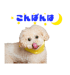 ミントちゃんの可愛いスタンプです！！（個別スタンプ：3）