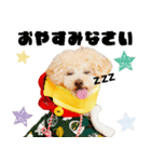 ミントちゃんの可愛いスタンプです！！（個別スタンプ：4）