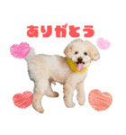 ミントちゃんの可愛いスタンプです！！（個別スタンプ：5）