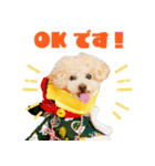 ミントちゃんの可愛いスタンプです！！（個別スタンプ：6）