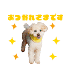 ミントちゃんの可愛いスタンプです！！（個別スタンプ：7）