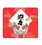 レトロにゃんこお正月【再販】（個別スタンプ：11）
