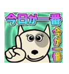 愛しのブルテリア6N 大阪（個別スタンプ：14）