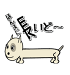 愛しのブルテリア6N 大阪（個別スタンプ：18）