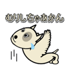 愛しのブルテリア6N 大阪（個別スタンプ：27）