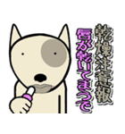 愛しのブルテリア6N 大阪（個別スタンプ：31）