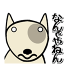 愛しのブルテリア6N 大阪（個別スタンプ：32）