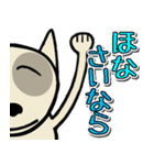 愛しのブルテリア6N 大阪（個別スタンプ：35）