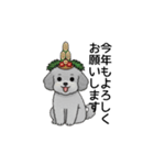 年間イベントのトイプードル（個別スタンプ：2）