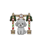 年間イベントのトイプードル（個別スタンプ：3）