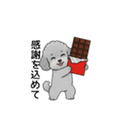 年間イベントのトイプードル（個別スタンプ：7）