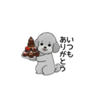 年間イベントのトイプードル（個別スタンプ：8）