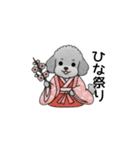 年間イベントのトイプードル（個別スタンプ：10）