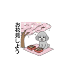 年間イベントのトイプードル（個別スタンプ：14）