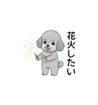 年間イベントのトイプードル（個別スタンプ：23）