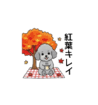 年間イベントのトイプードル（個別スタンプ：27）