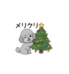 年間イベントのトイプードル（個別スタンプ：34）