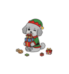 年間イベントのトイプードル（個別スタンプ：36）