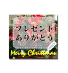 書き込める♥クリスマス・年末年始フレーム（個別スタンプ：7）