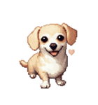 無言で伝えるチワックス クリーム（個別スタンプ：1）