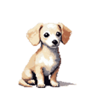 無言で伝えるチワックス クリーム（個別スタンプ：2）