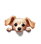 無言で伝えるチワックス クリーム（個別スタンプ：5）