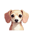 無言で伝えるチワックス クリーム（個別スタンプ：7）