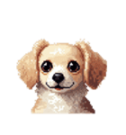 無言で伝えるチワックス クリーム（個別スタンプ：9）