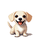 無言で伝えるチワックス クリーム（個別スタンプ：10）