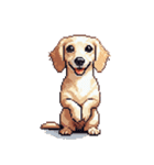 無言で伝えるチワックス クリーム（個別スタンプ：11）