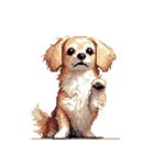 無言で伝えるチワックス クリーム（個別スタンプ：13）