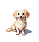 無言で伝えるチワックス クリーム（個別スタンプ：14）