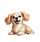 無言で伝えるチワックス クリーム（個別スタンプ：15）