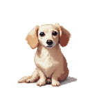 無言で伝えるチワックス クリーム（個別スタンプ：16）