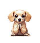 無言で伝えるチワックス クリーム（個別スタンプ：17）