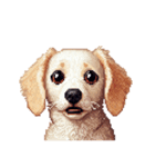 無言で伝えるチワックス クリーム（個別スタンプ：18）