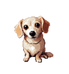 無言で伝えるチワックス クリーム（個別スタンプ：19）