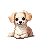 無言で伝えるチワックス クリーム（個別スタンプ：20）