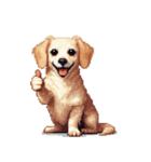 無言で伝えるチワックス クリーム（個別スタンプ：21）