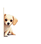 無言で伝えるチワックス クリーム（個別スタンプ：22）