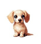 無言で伝えるチワックス クリーム（個別スタンプ：24）