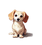 無言で伝えるチワックス クリーム（個別スタンプ：26）