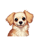 無言で伝えるチワックス クリーム（個別スタンプ：29）