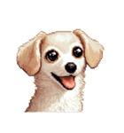 無言で伝えるチワックス クリーム（個別スタンプ：30）